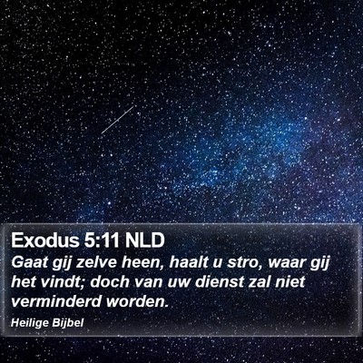 Exodus 5:11 NLD Bible Verse Image