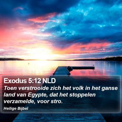 Exodus 5:12 NLD Bible Verse Image