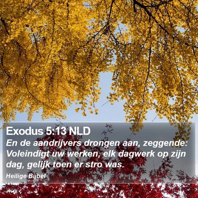 Exodus 5:13 NLD Bible Verse Image
