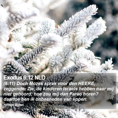 Exodus 6:12 NLD Bible Verse Image