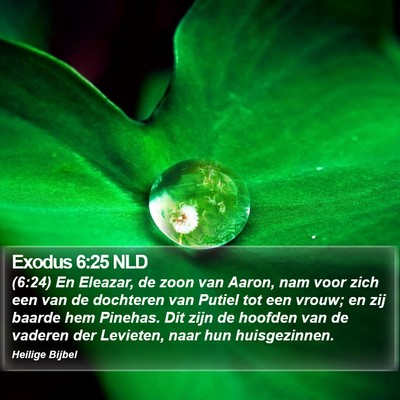 Exodus 6:25 NLD Bible Verse Image