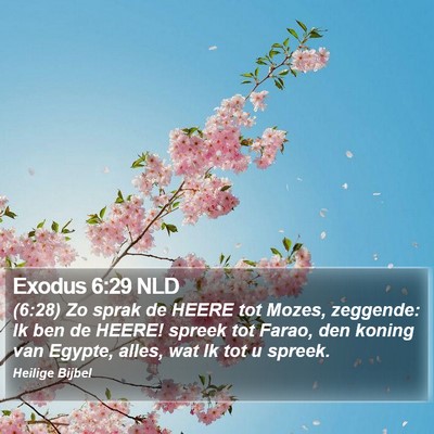 Exodus 6:29 NLD Bible Verse Image