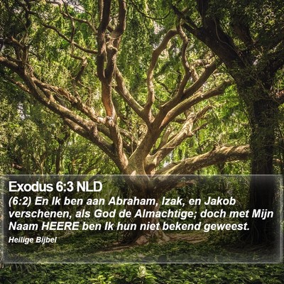 Exodus 6:3 NLD Bible Verse Image