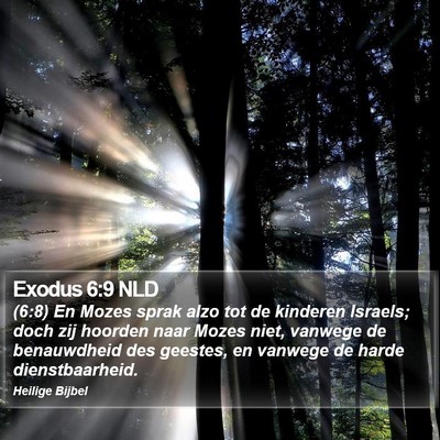 Exodus 6:9 NLD Bible Verse Image