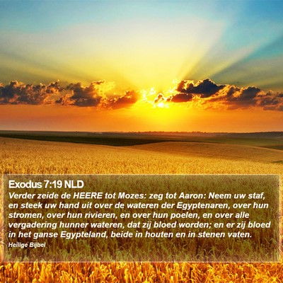Exodus 7:19 NLD Bible Verse Image