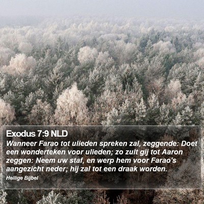 Exodus 7:9 NLD Bible Verse Image