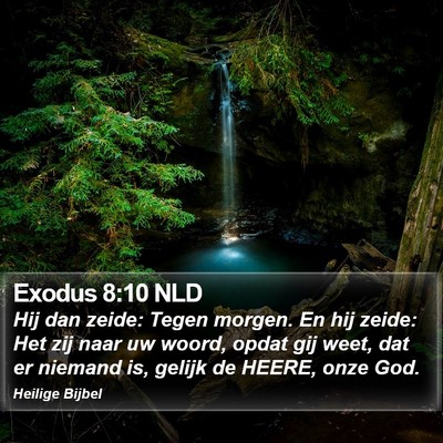 Exodus 8:10 NLD Bible Verse Image