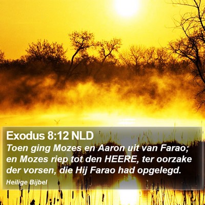 Exodus 8:12 NLD Bible Verse Image