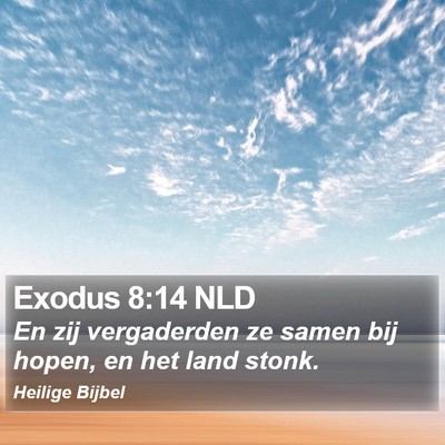 Exodus 8:14 NLD Bible Verse Image