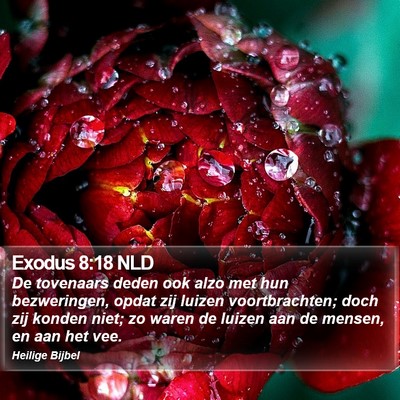 Exodus 8:18 NLD Bible Verse Image