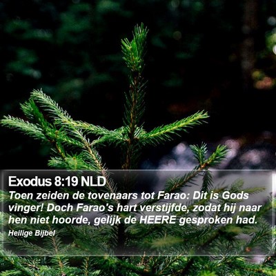 Exodus 8:19 NLD Bible Verse Image