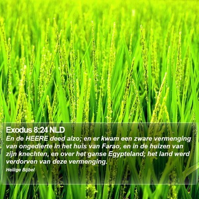 Exodus 8:24 NLD Bible Verse Image