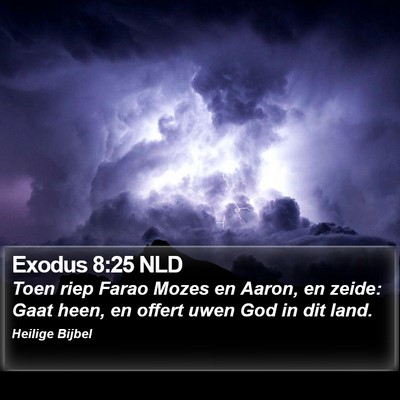 Exodus 8:25 NLD Bible Verse Image