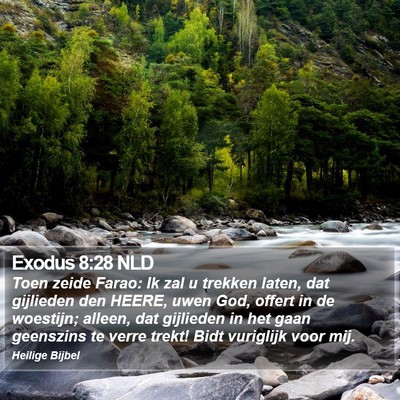 Exodus 8:28 NLD Bible Verse Image
