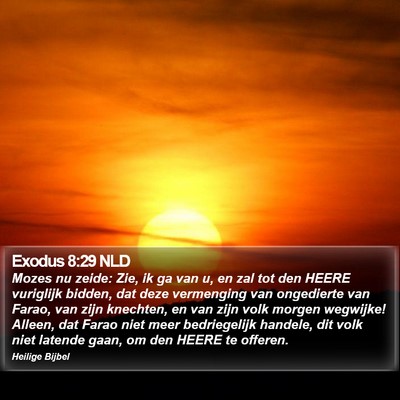 Exodus 8:29 NLD Bible Verse Image