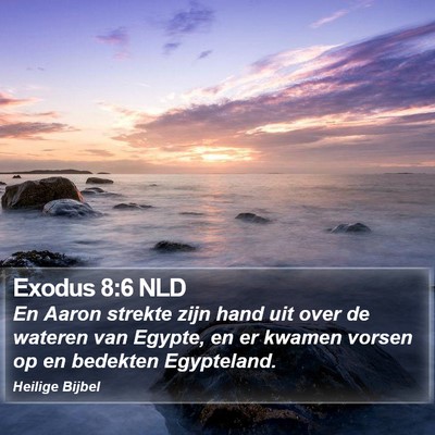 Exodus 8:6 NLD Bible Verse Image