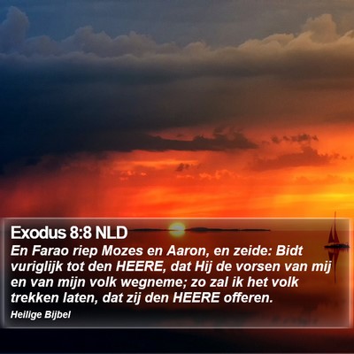 Exodus 8:8 NLD Bible Verse Image