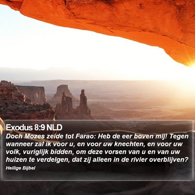 Exodus 8:9 NLD Bible Verse Image