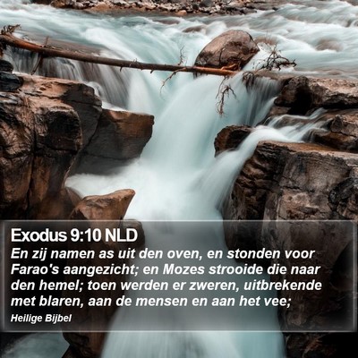 Exodus 9:10 NLD Bible Verse Image