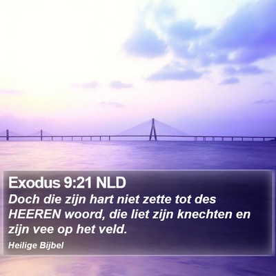 Exodus 9:21 NLD Bible Verse Image