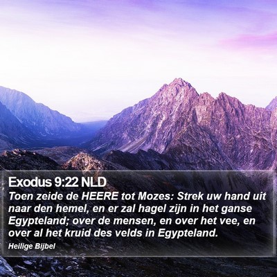 Exodus 9:22 NLD Bible Verse Image