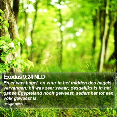 Exodus 9:24 NLD Bible Verse Image