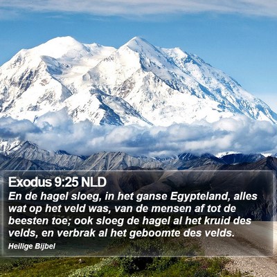 Exodus 9:25 NLD Bible Verse Image