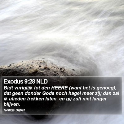 Exodus 9:28 NLD Bible Verse Image