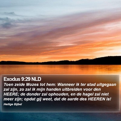 Exodus 9:29 NLD Bible Verse Image