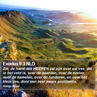 Exodus 9:3 NLD Bible Verse Image