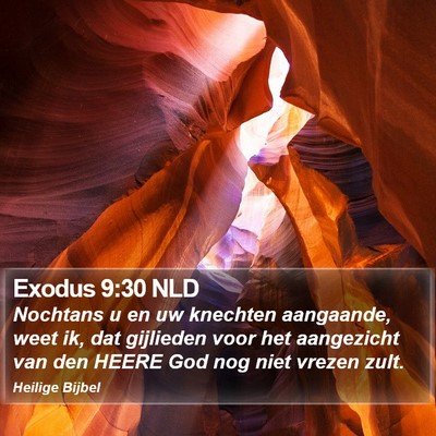 Exodus 9:30 NLD Bible Verse Image