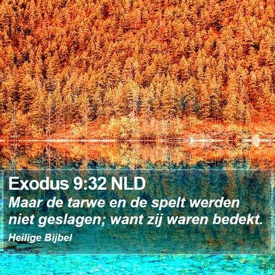 Exodus 9:32 NLD Bible Verse Image