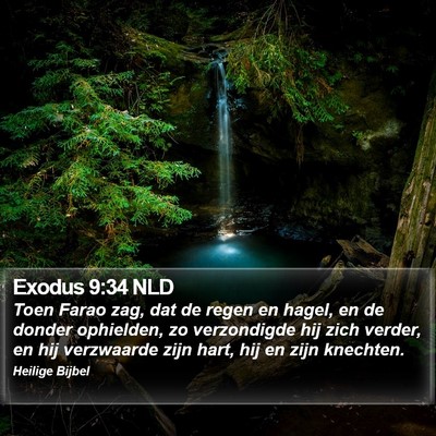 Exodus 9:34 NLD Bible Verse Image