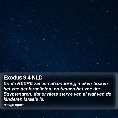 Exodus 9:4 NLD Bible Verse Image
