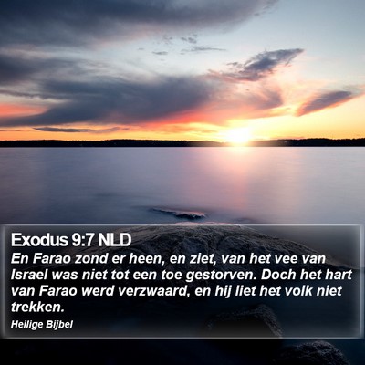 Exodus 9:7 NLD Bible Verse Image