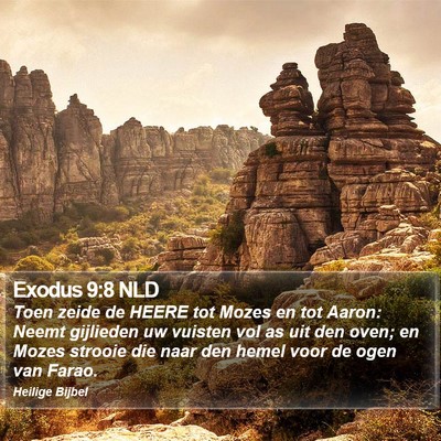 Exodus 9:8 NLD Bible Verse Image