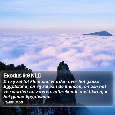 Exodus 9:9 NLD Bible Verse Image
