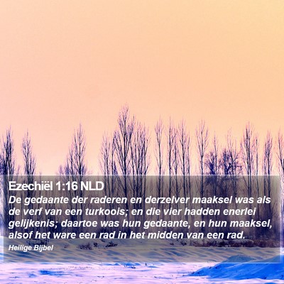 Ezechiël 1:16 NLD Bible Verse Image