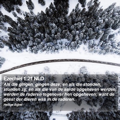 Ezechiël 1:21 NLD Bible Verse Image