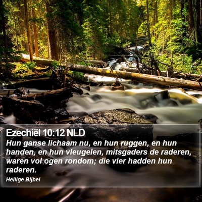Ezechiël 10:12 NLD Bible Verse Image