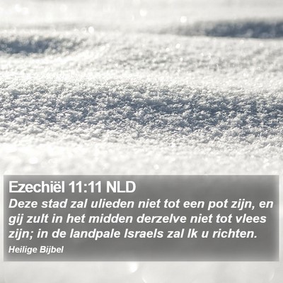 Ezechiël 11:11 NLD Bible Verse Image