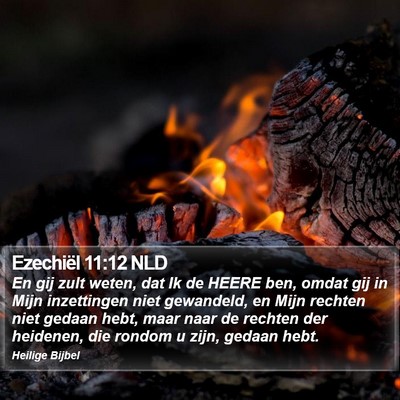 Ezechiël 11:12 NLD Bible Verse Image