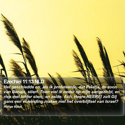 Ezechiël 11:13 NLD Bible Verse Image