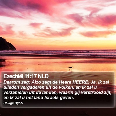Ezechiël 11:17 NLD Bible Verse Image