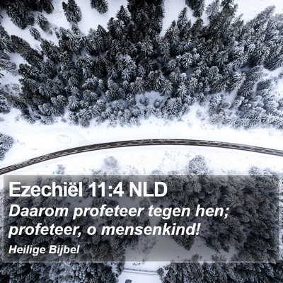 Ezechiël 11:4 NLD Bible Verse Image