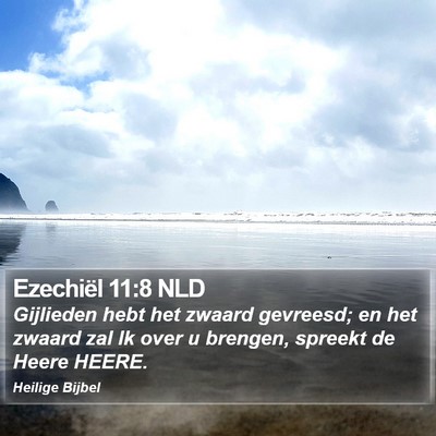 Ezechiël 11:8 NLD Bible Verse Image