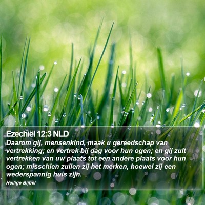 Ezechiël 12:3 NLD Bible Verse Image
