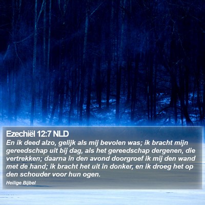 Ezechiël 12:7 NLD Bible Verse Image