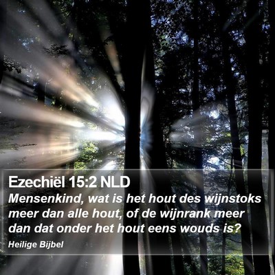 Ezechiël 15:2 NLD Bible Verse Image