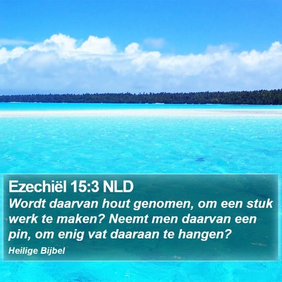 Ezechiël 15:3 NLD Bible Verse Image